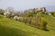 Passeggiando tra Gionc-Canto Alto e Prati Parini - FOTOGALLERY